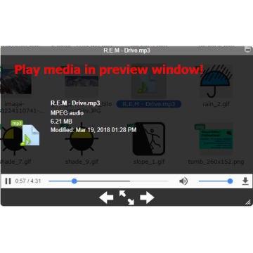 File Manager Professional