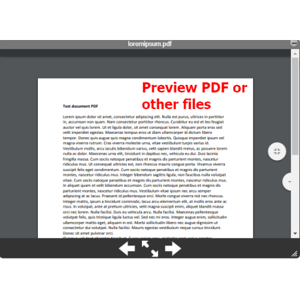 File Manager Professional