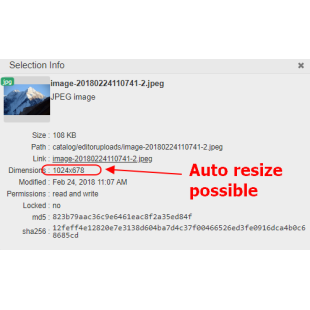 File Manager Professional