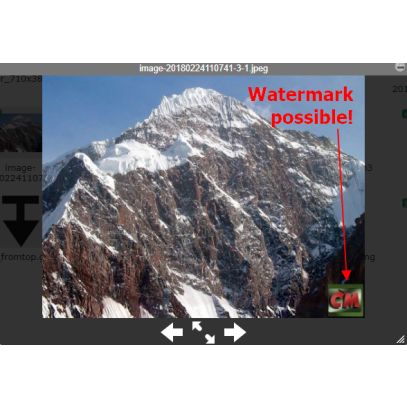 File Manager Professional