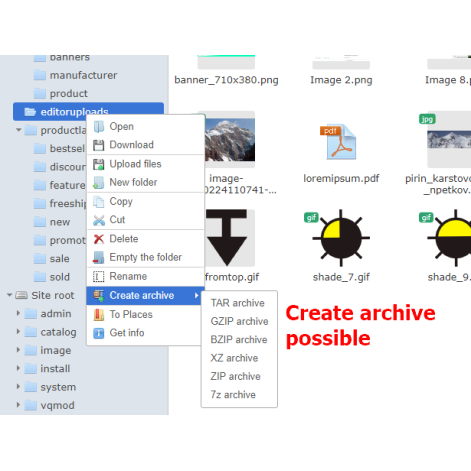 File Manager Professional