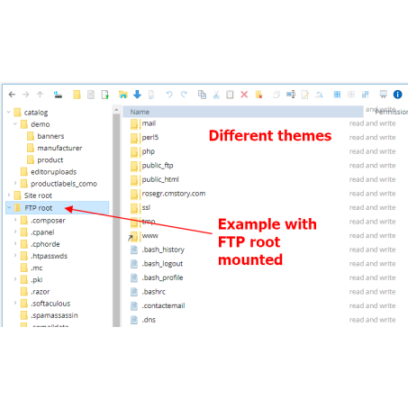 File Manager Professional