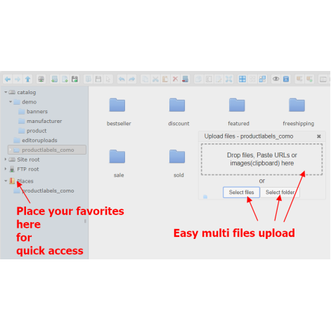 File Manager Professional